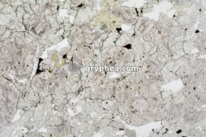 Eclogite LPNA x3,5 - gryphea.org